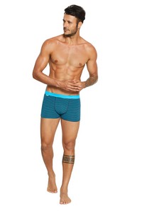 Panties boxer shorts men's wielopak Henderson Rich Core 37815-mlc 2 sztuki